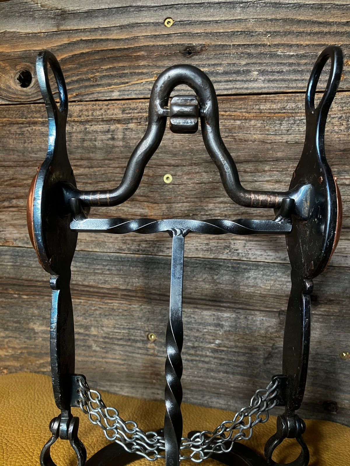 Cathedral bridle bit