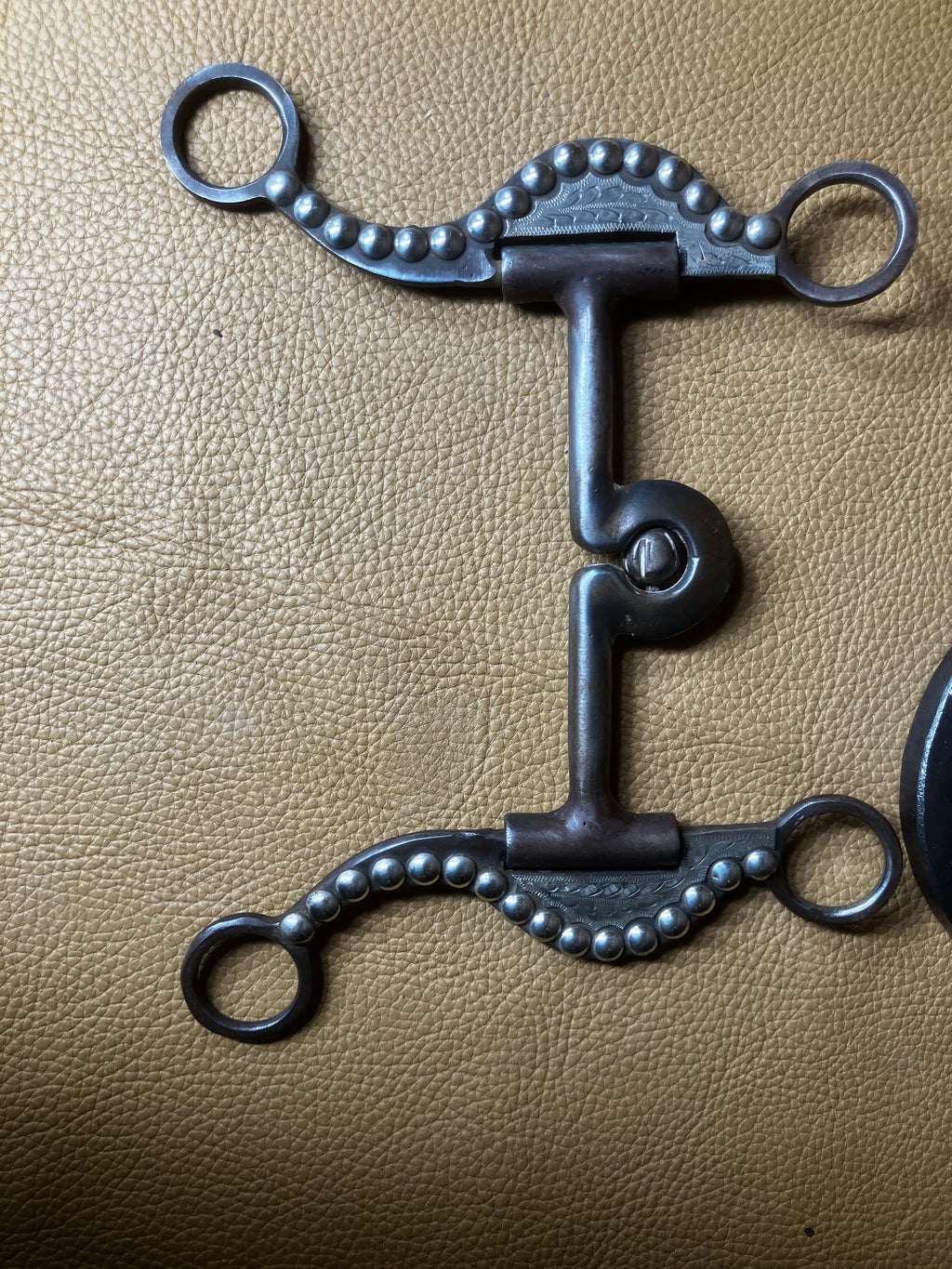 Rod tuescher bridle bit