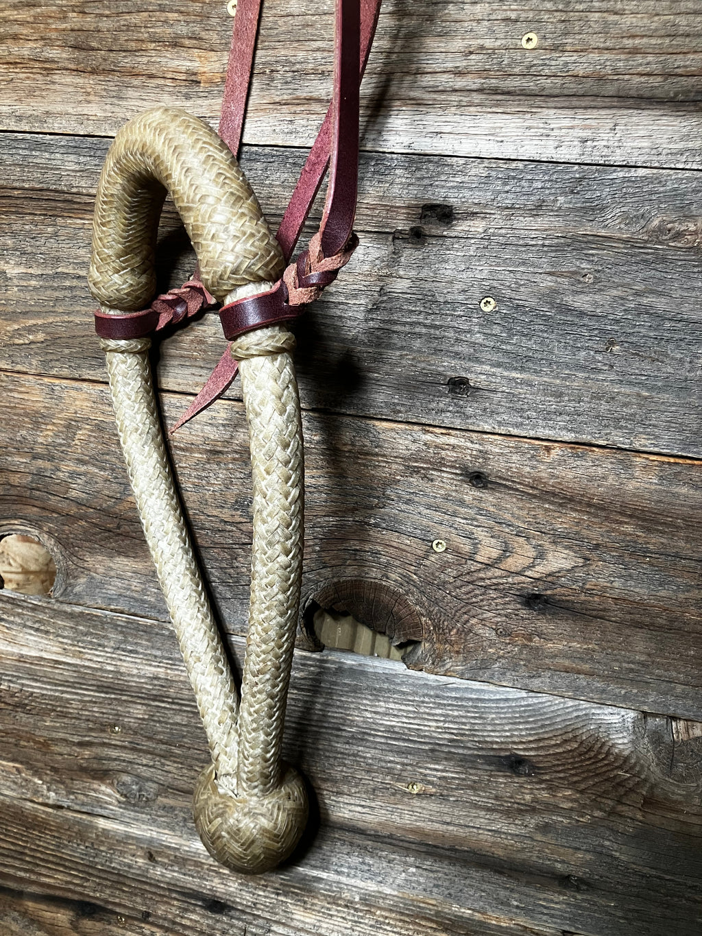 One inch bosal