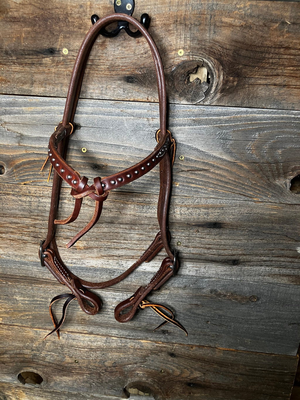 Dotted futurity browband
