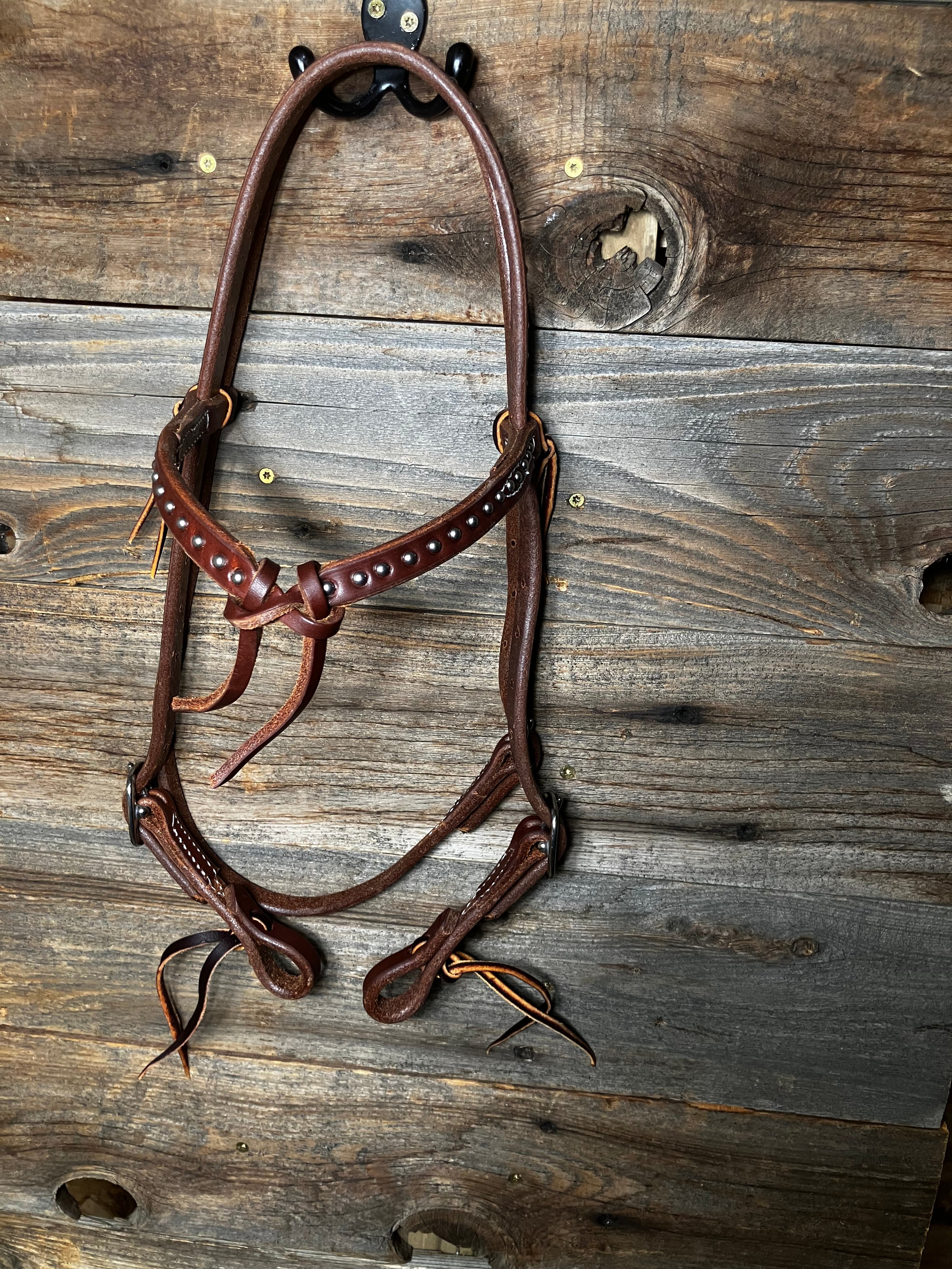Dotted futurity browband