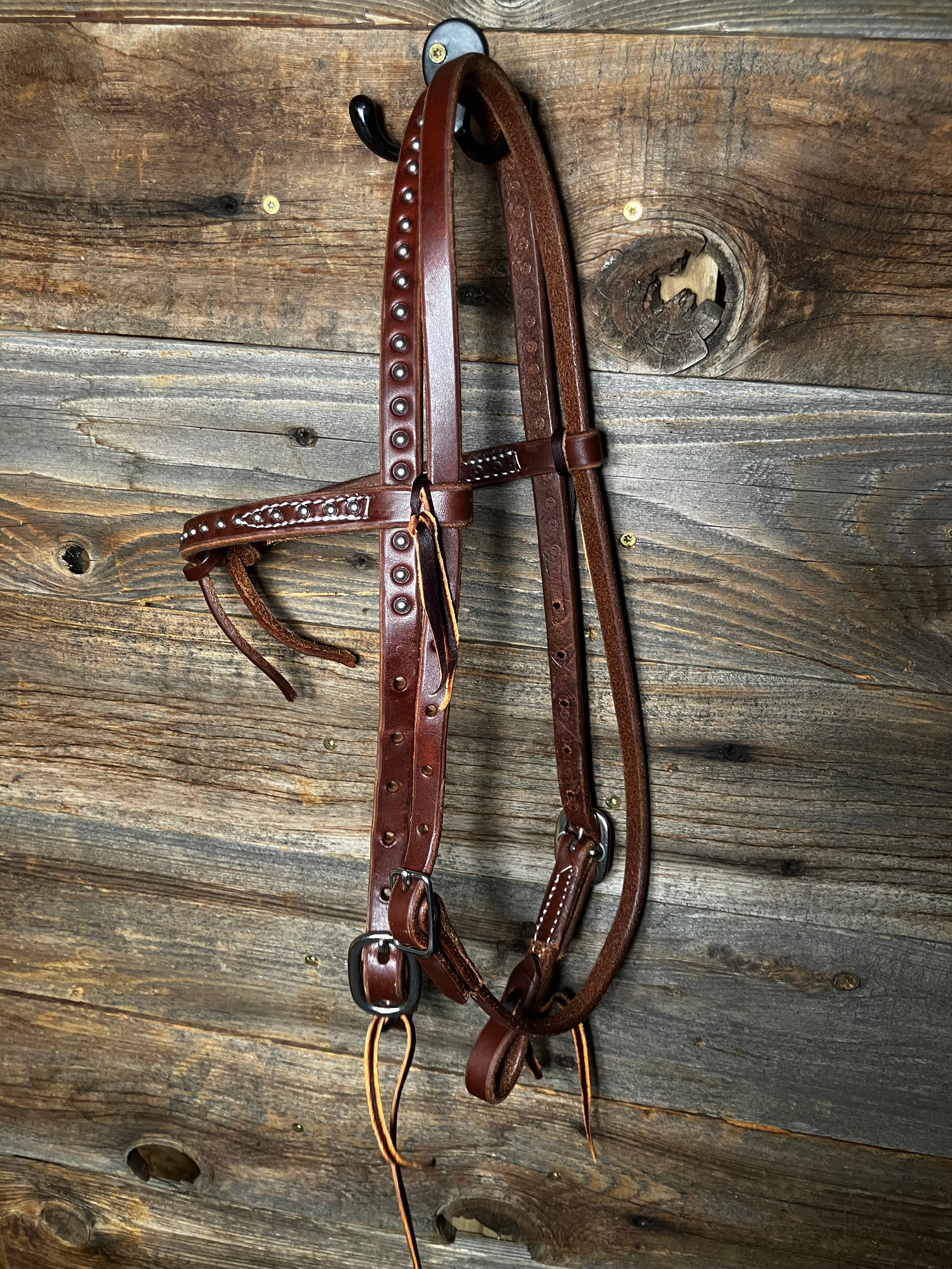 Dotted futurity browband