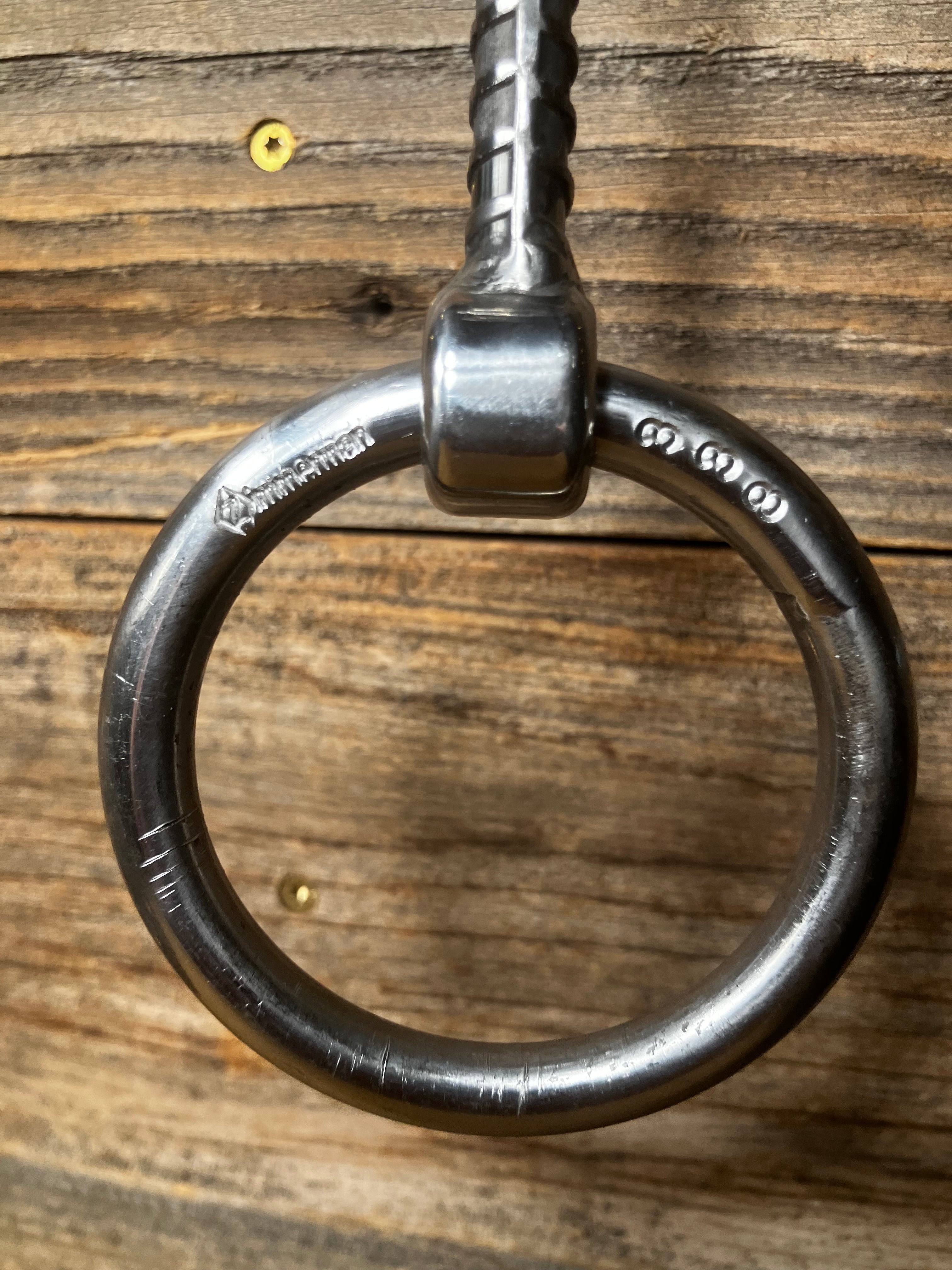 Rebar Mullen snaffle