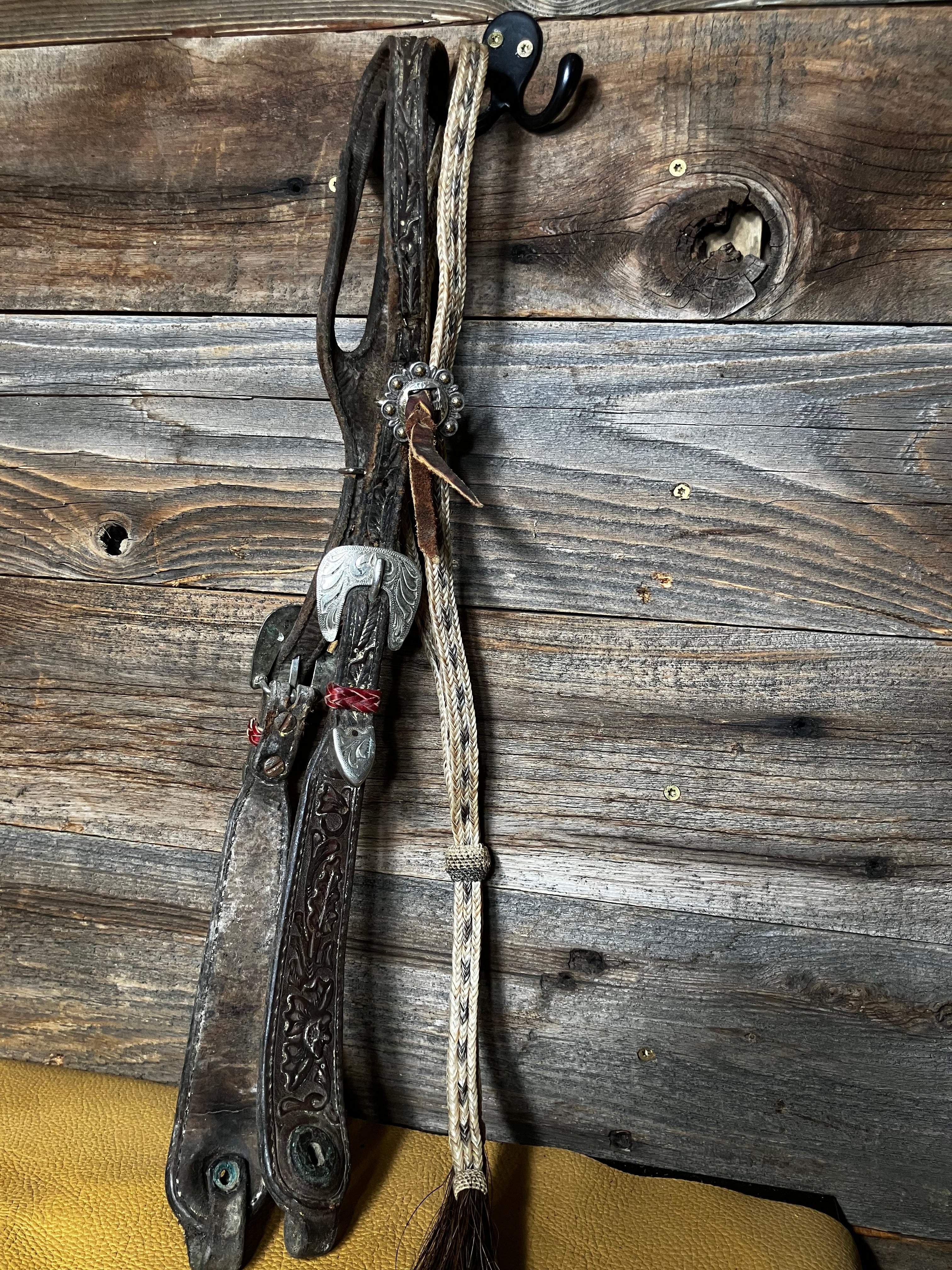 Neat old headstall