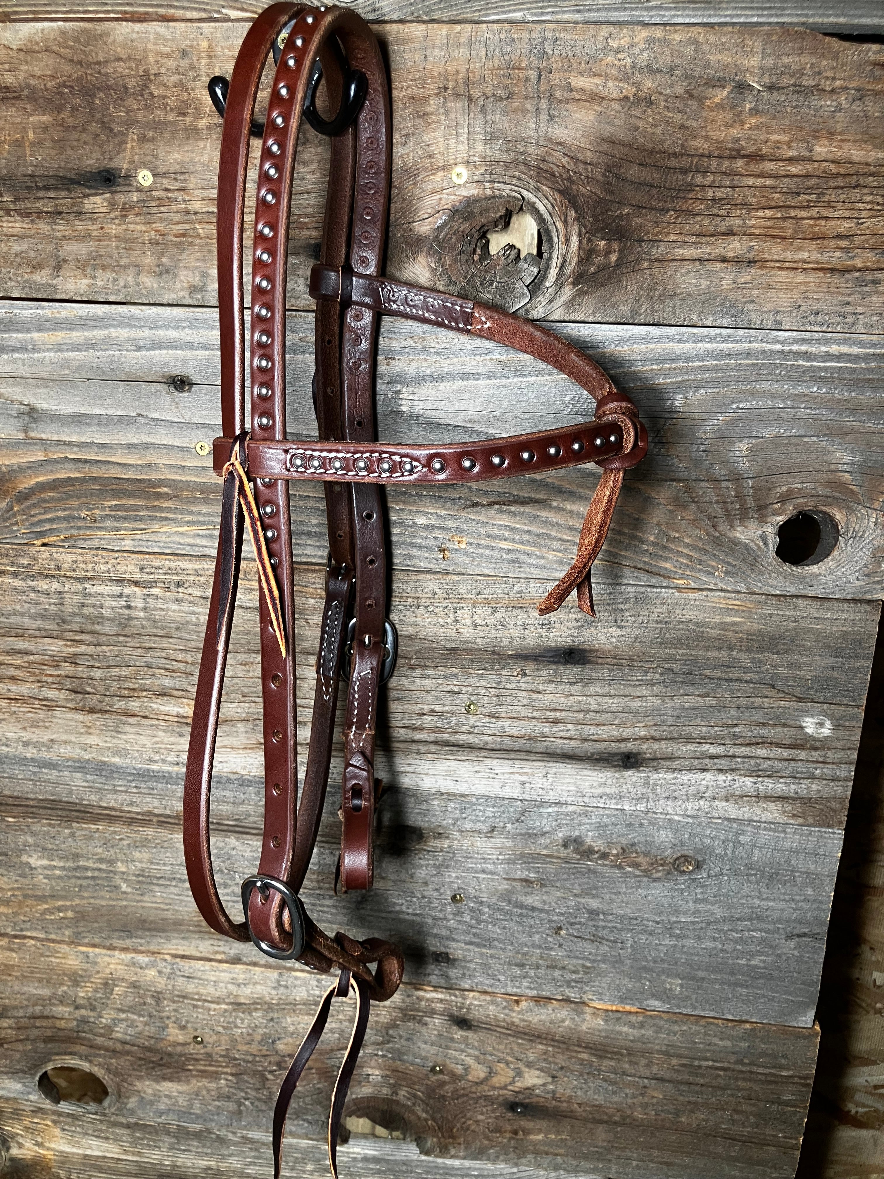 Dotted futurity browband