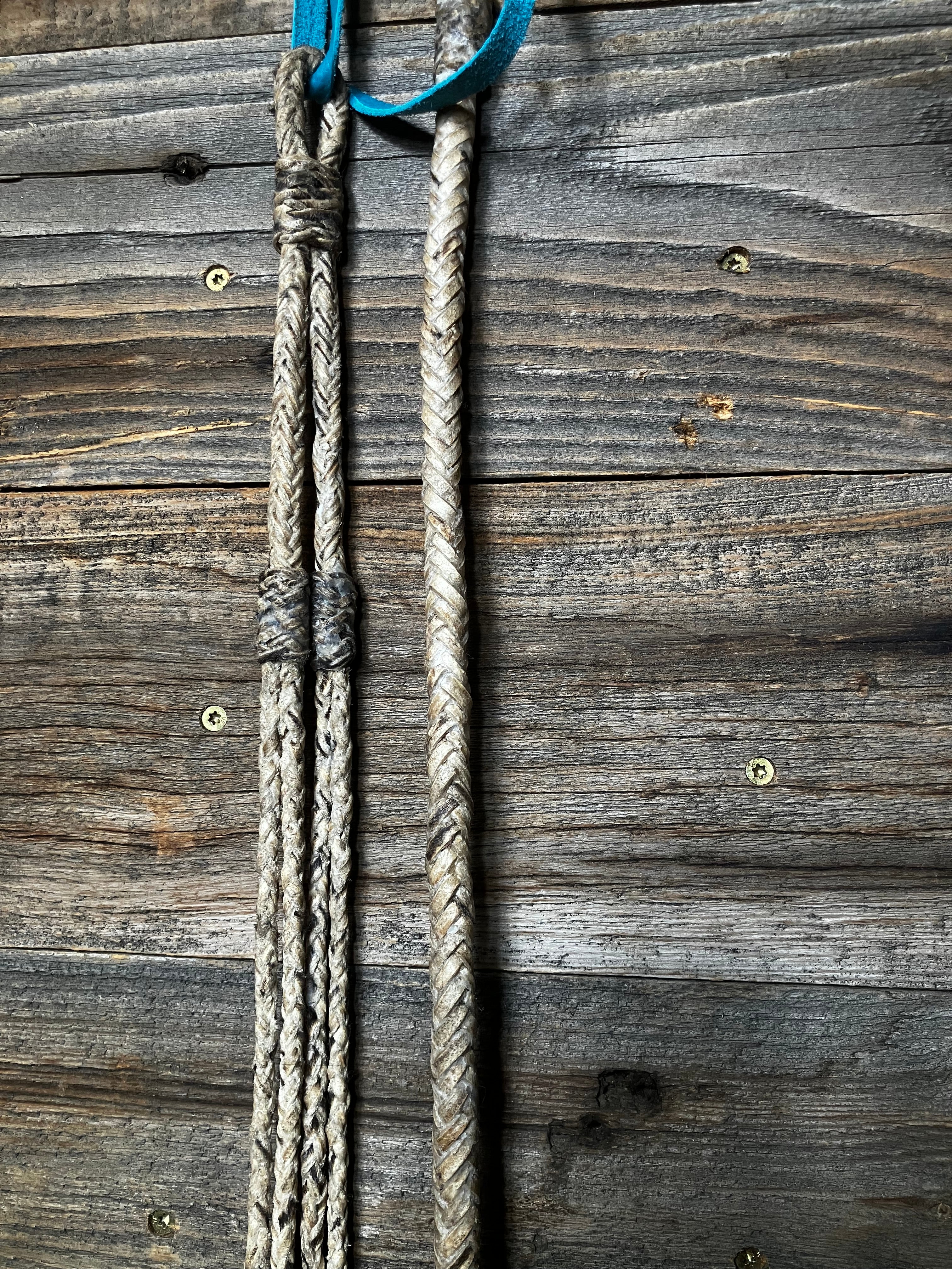 Santa ynez romals