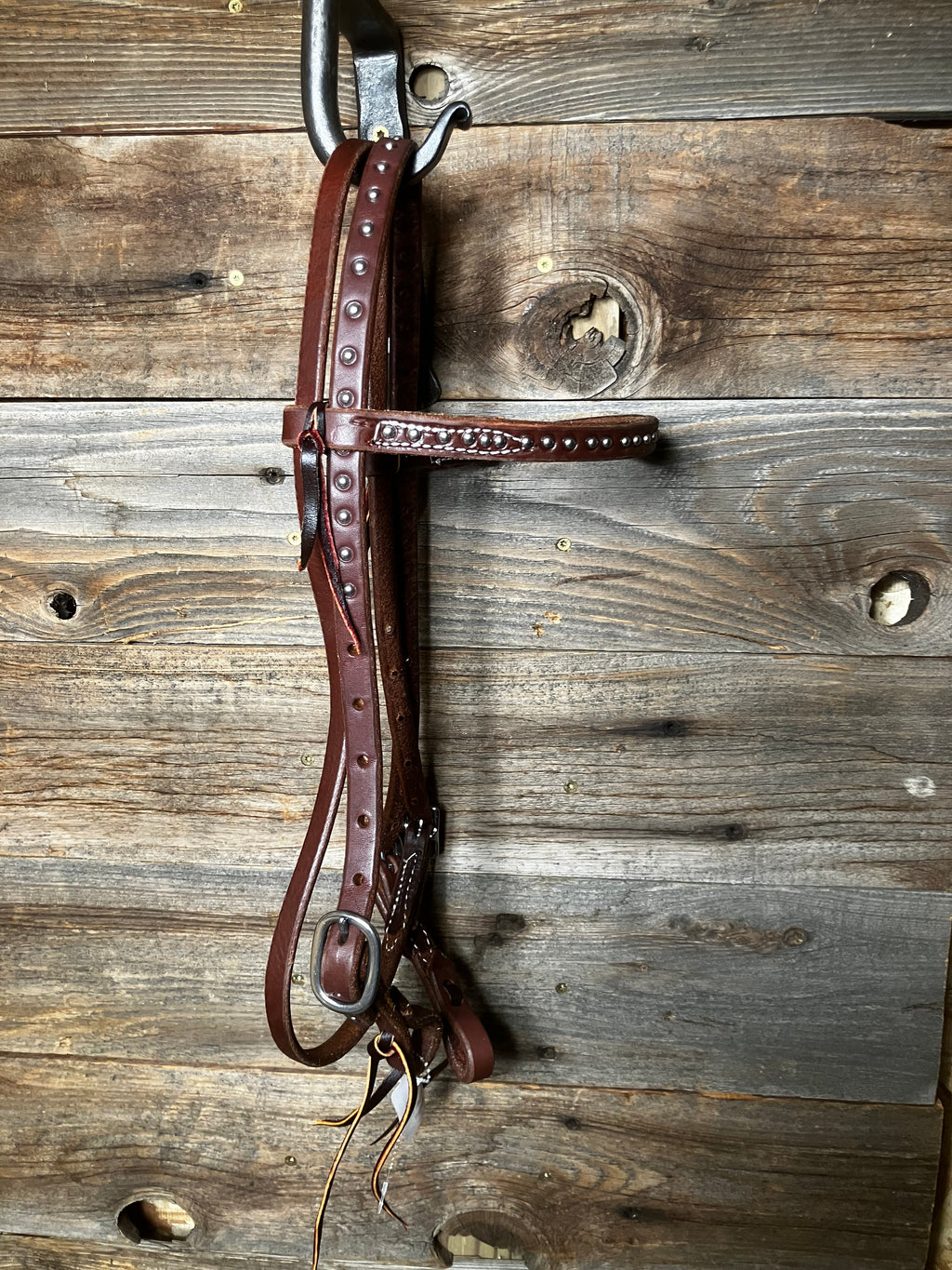 Dotted browband headstall
