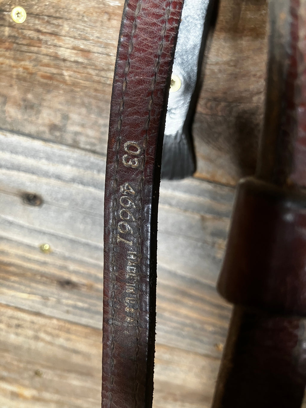 Silver headstall