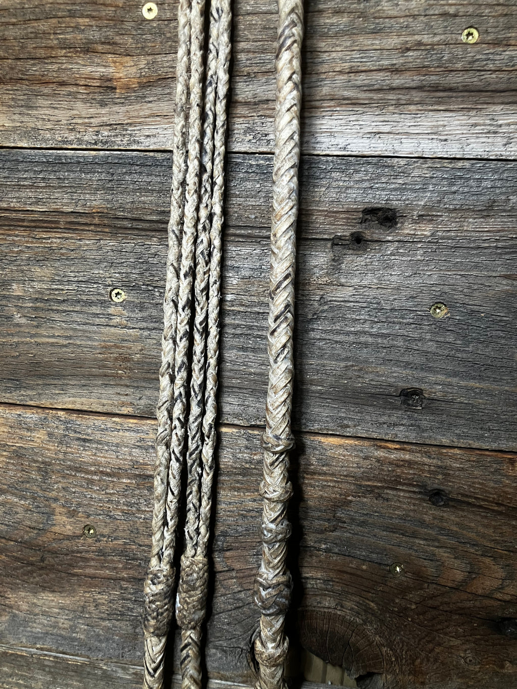 Santa ynez romals