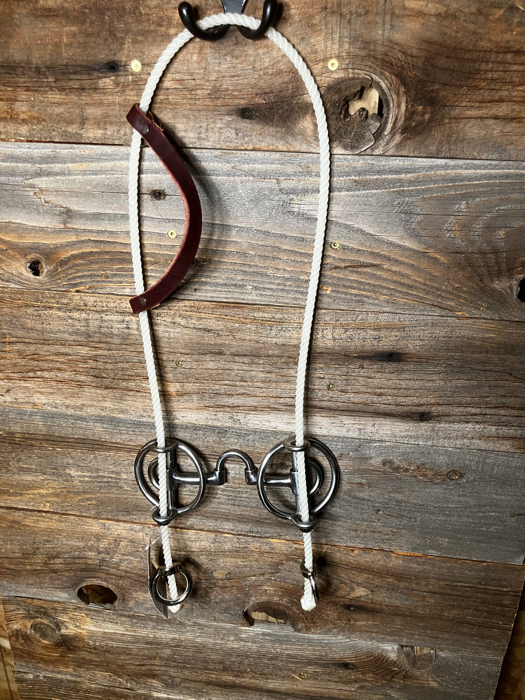 PC correction rope gag